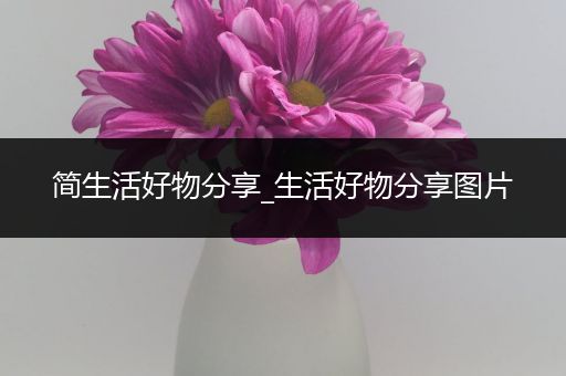 简生活好物分享_生活好物分享图片