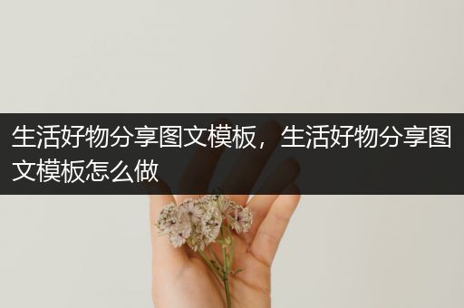 生活好物分享图文模板，生活好物分享图文模板怎么做