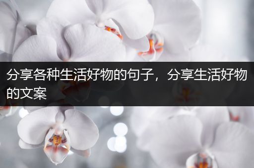 分享各种生活好物的句子，分享生活好物的文案