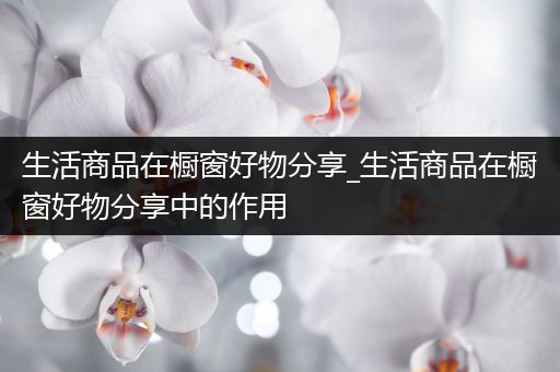 生活商品在橱窗好物分享_生活商品在橱窗好物分享中的作用