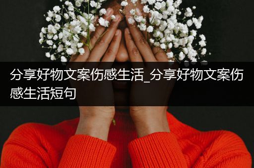 分享好物文案伤感生活_分享好物文案伤感生活短句