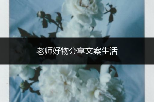 老师好物分享文案生活