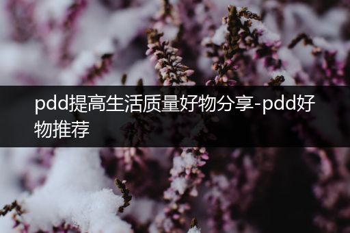 pdd提高生活质量好物分享-pdd好物推荐