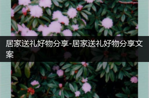 居家送礼好物分享-居家送礼好物分享文案