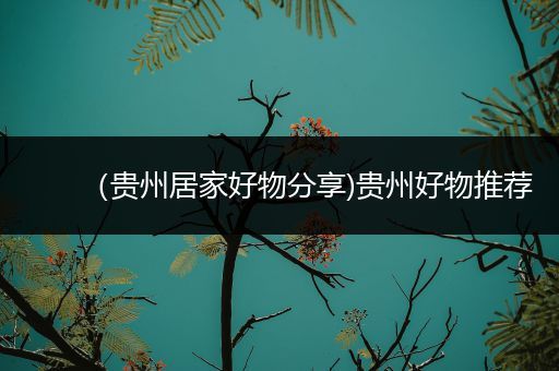 （贵州居家好物分享)贵州好物推荐