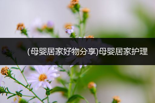 （母婴居家好物分享)母婴居家护理